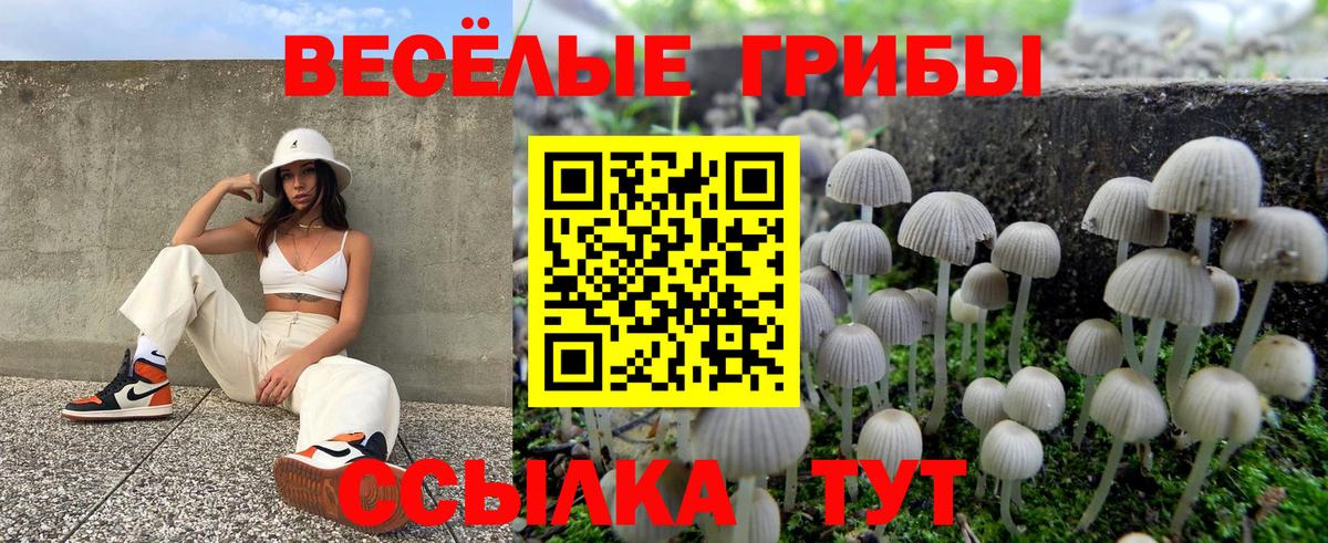 Галлюциногенные грибы Magic Shrooms  Вход с VPN  Ртищево 